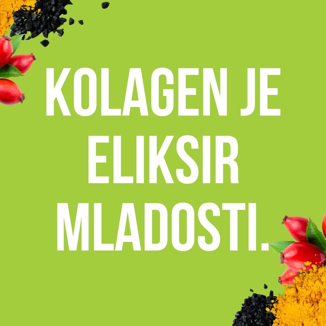 Collagen Powder Blend (collagene)