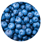 BMT® Resveratrol MICROENCAPSULATED + BMT® Q10 MICROENCAPSULATED + Nutrilegs Forte (regalo)