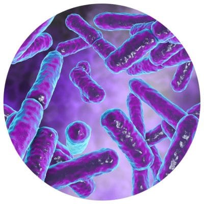 MicroTotal COMPLET