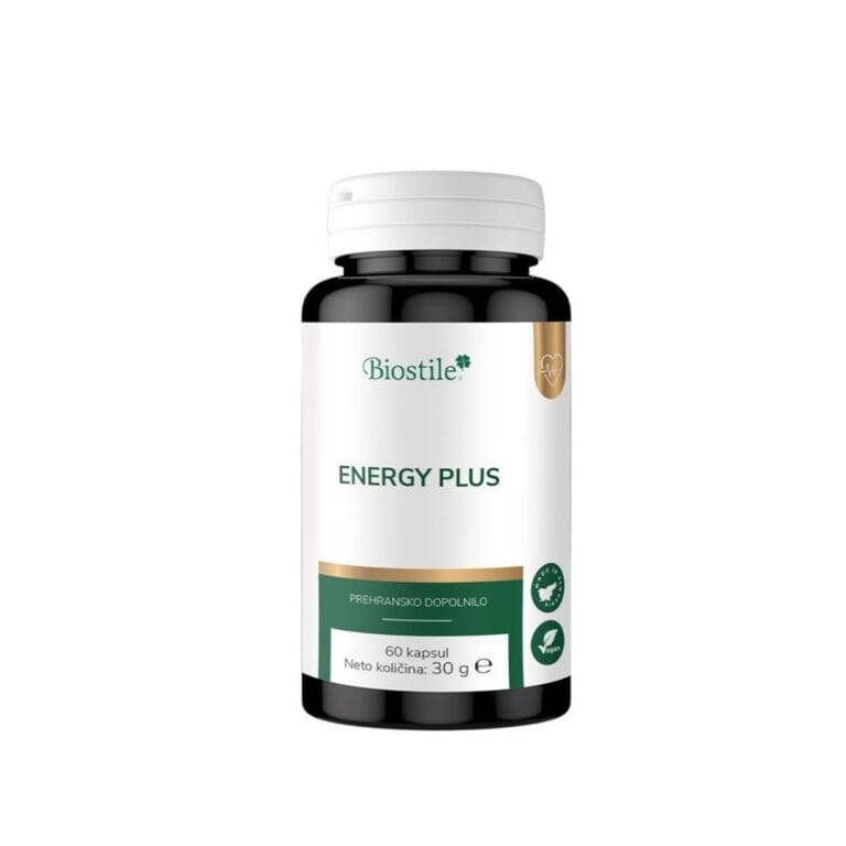 Energy Plus
