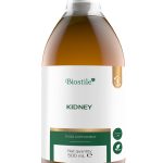 Kidney