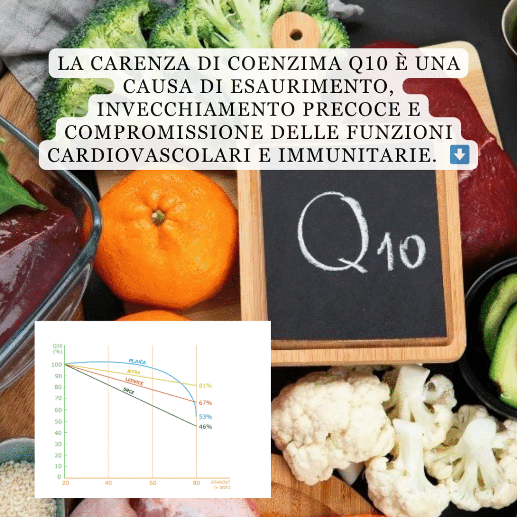 brand bmt q10 izcrpanost lp1