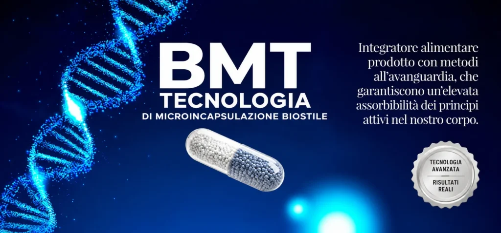 IT BMT Tehnologija - desktop