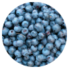 Energy Plus